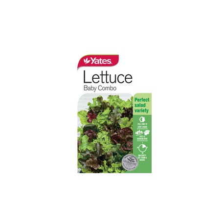 Yates Lettuce Seeds - Select Variety