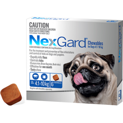 Nex-Gard Flea And Tick Chews For Small Dog 4.1-10kg