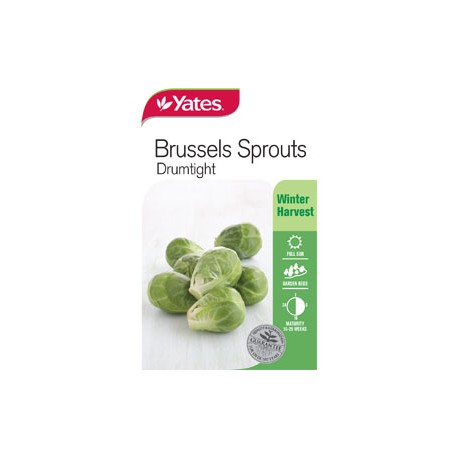 Yates Brussels Sprout Seeds – Drumtight