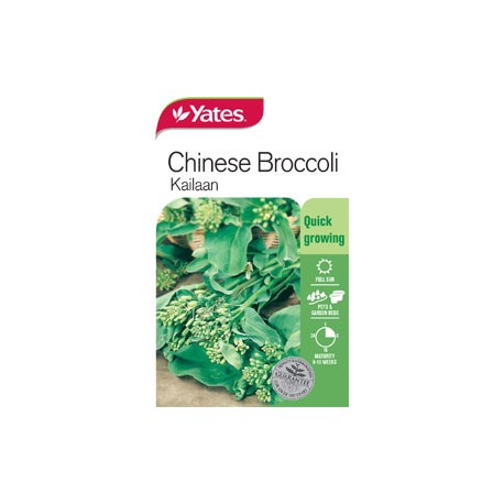Yates Chinese Broccoli Seeds – Kailaan