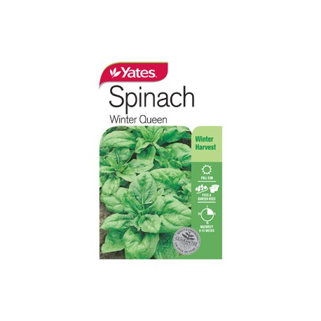 Yates Spinach Seeds - Select Variety