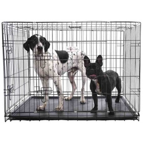 Premium Durable 2 Door Dog Crates