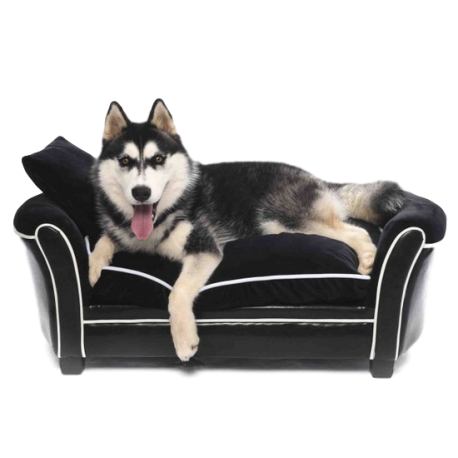 PetObsessed Velvet Luxury Black Velvet Dog Sofa