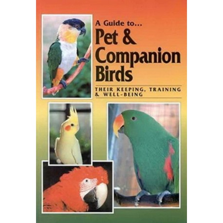 A Guide to Pet & Companion Birds