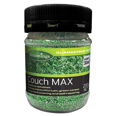 Brunnings Couch Max Lawn Seed 200g