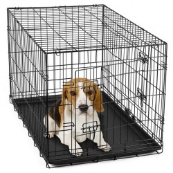 Bono Fido Dog Crates