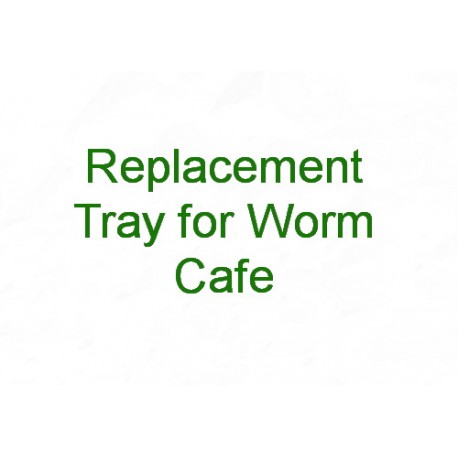 Replacement Trays for Worm Cafe