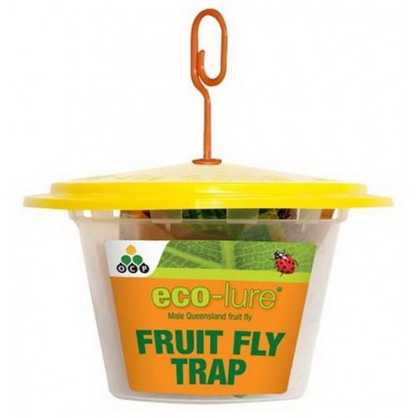 Eco-lure Fruit Fly Trap (OCP)