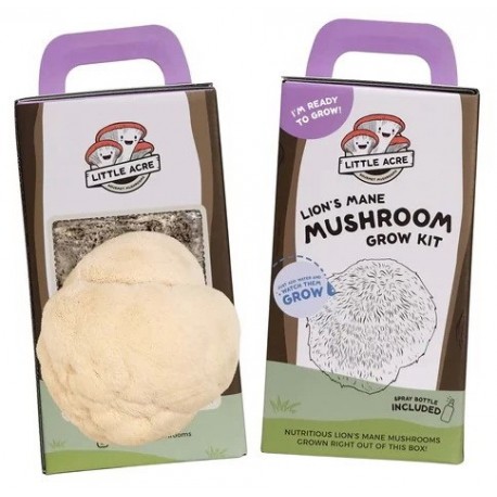 Lion's Mane Mushroom Grow Kit (Little Acre)