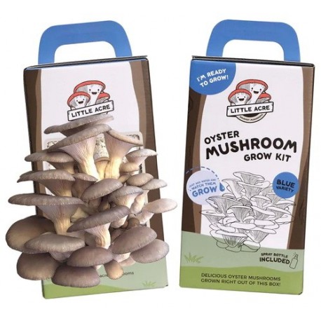 Blue Oyster Mushroom Grow Kit (Little Acre)