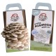 Pearl Oyster Mushroom Grow Kit (Little Acre)