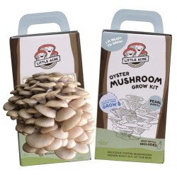 Pearl Oyster Mushroom Grow Kit (Little Acre)
