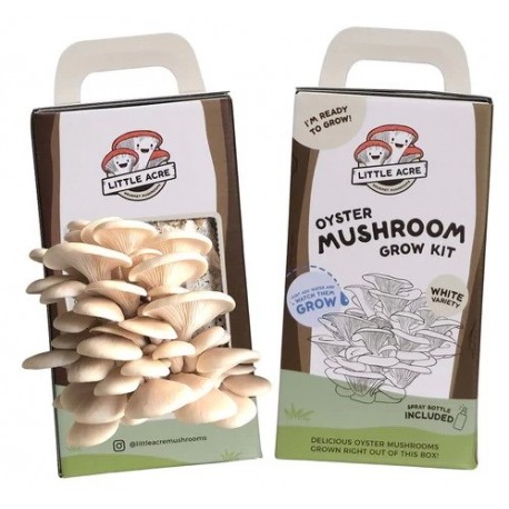 White Oyster Mushroom Grow Kit (Little Acre)