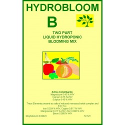 HydroBloom B