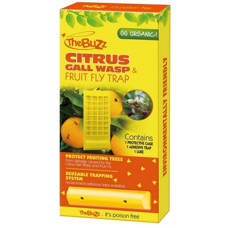 The Buzz Citrus Gall Wasp and Fruit  Trap
