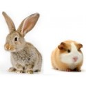 Rabbit & Guinea Products