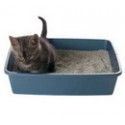 Cat Litter & Trays